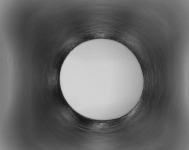 X0000088470174200705220948