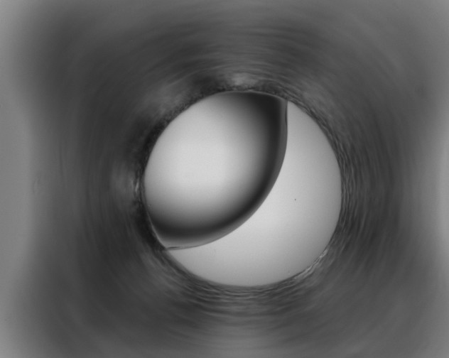 X0000088470176200705220948