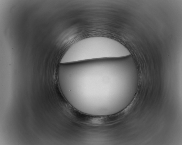 X0000088470178200705220948
