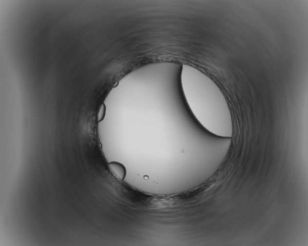 X0000088470181200705220948