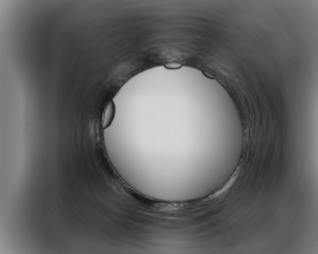 X0000088470182200705220948