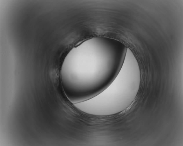 X0000088470184200705220948