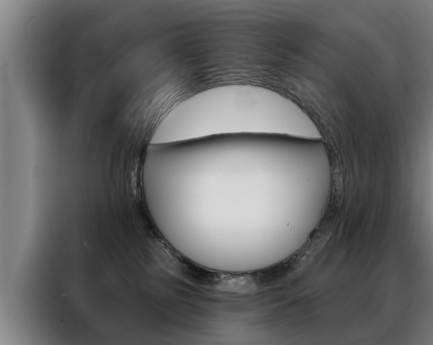 X0000088470185200705220948