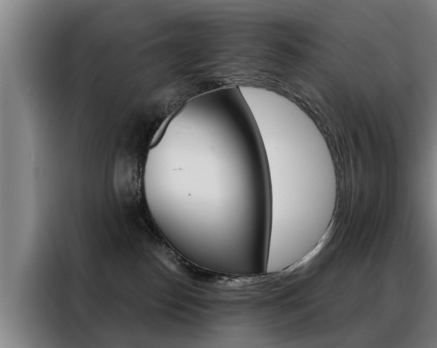 X0000088470186200705220948