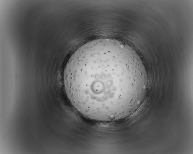 X0000088470187200705220948