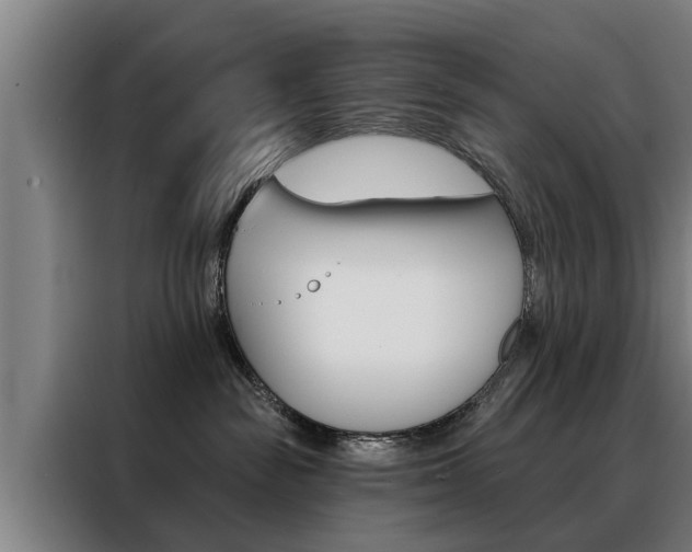 X0000088470189200705220948