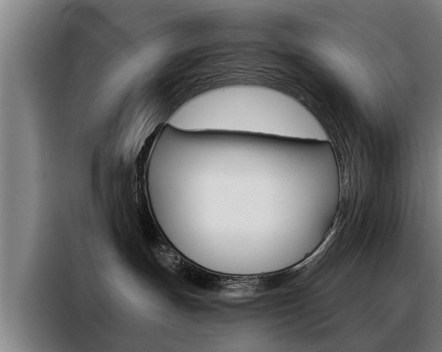 X0000088470191200705220948