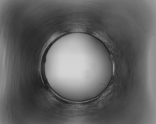 X0000088470195200705220947