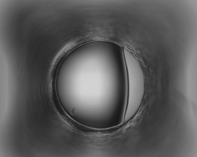 X0000088470197200705220947