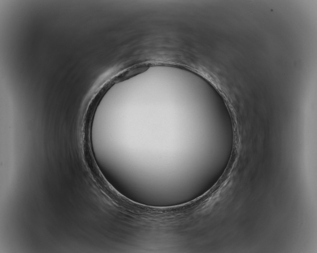 X0000088470199200705220947