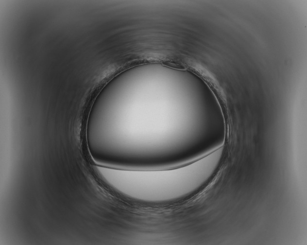 X0000088470201200705220947