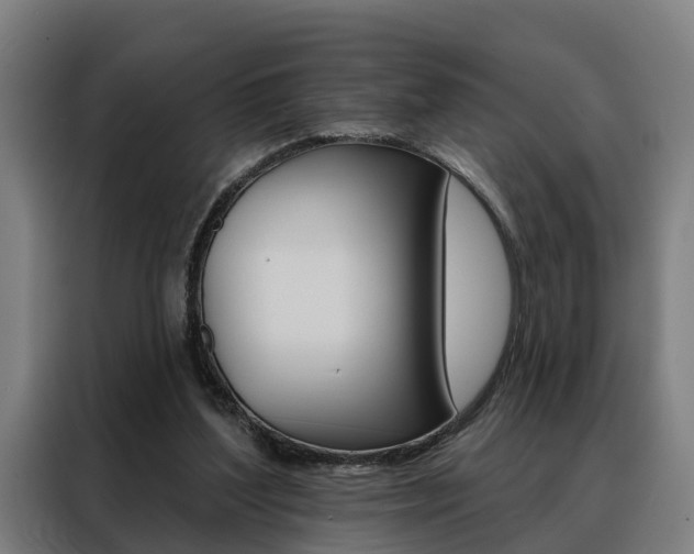 X0000088470204200705220947