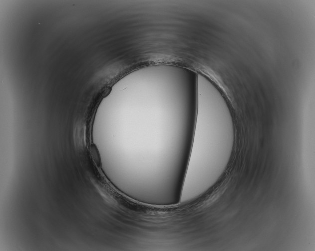 X0000088470205200705220947