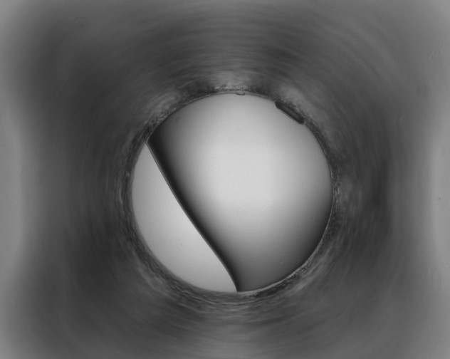 X0000088470209200705220947