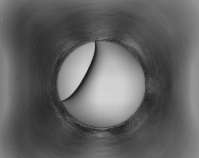 X0000088470210200705220947