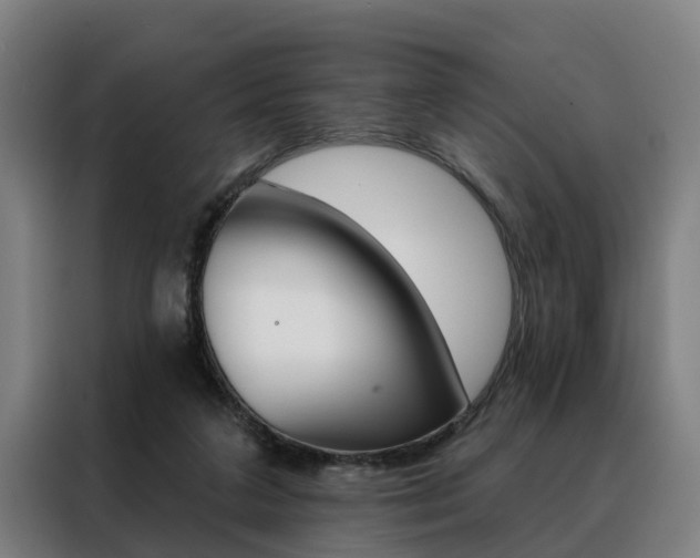 X0000088470211200705220947