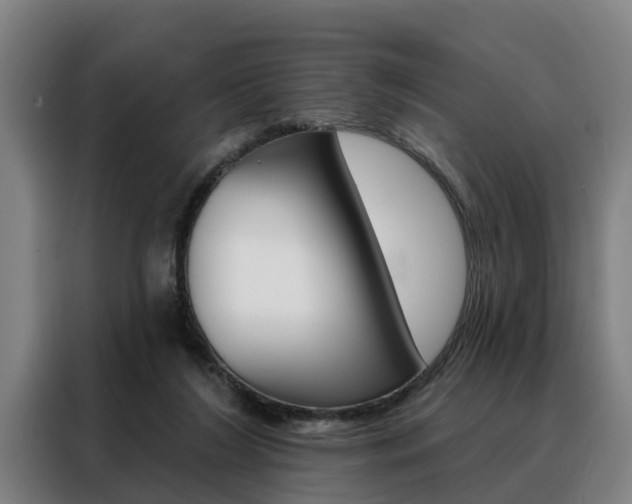 X0000088470212200705220947