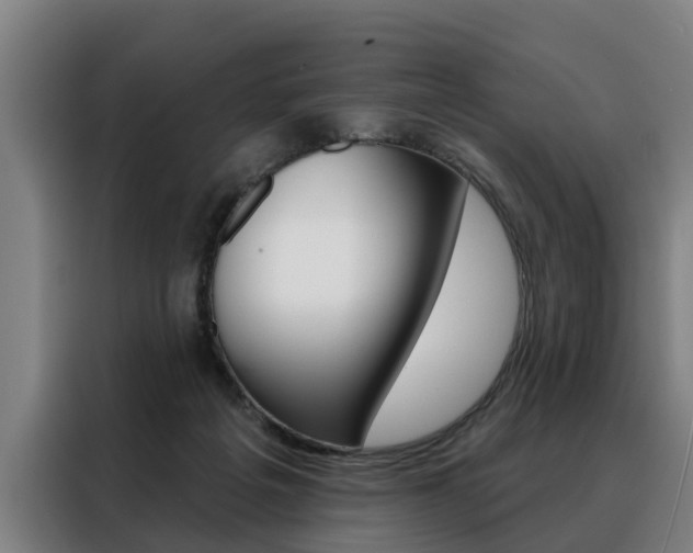 X0000088470217200705220947