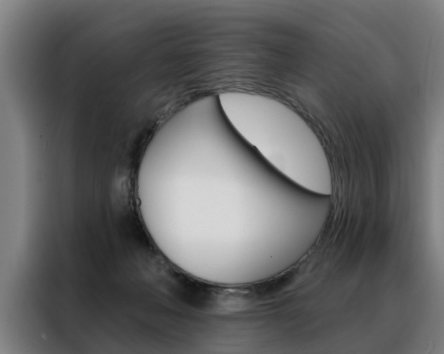 X0000088470222200705220947