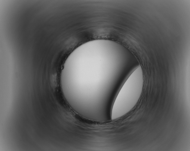 X0000088470224200705220947