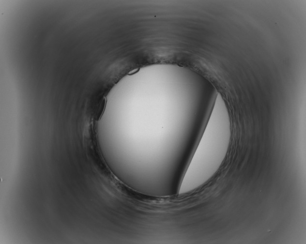 X0000088470225200705220947