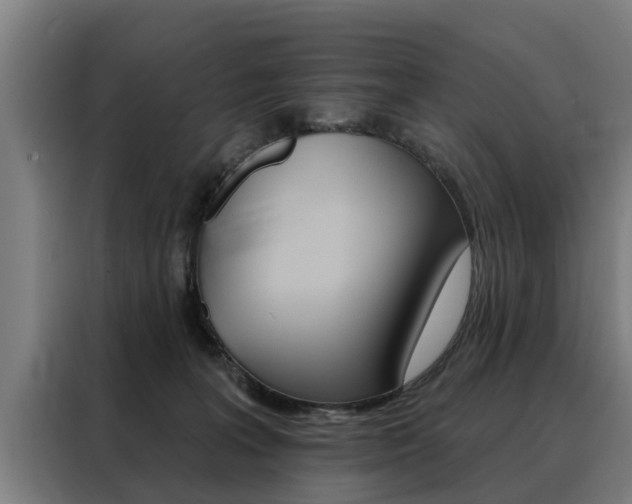 X0000088470227200705220947