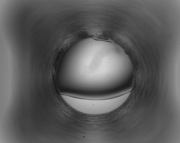 X0000088470229200705220947