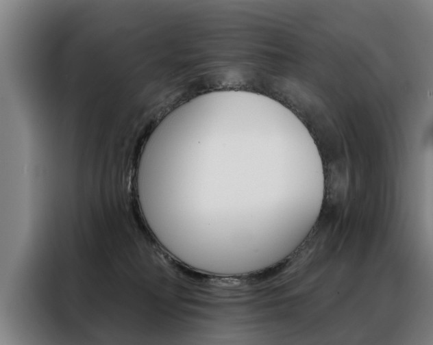 X0000088470230200705220947