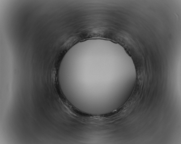 X0000088470231200705220947