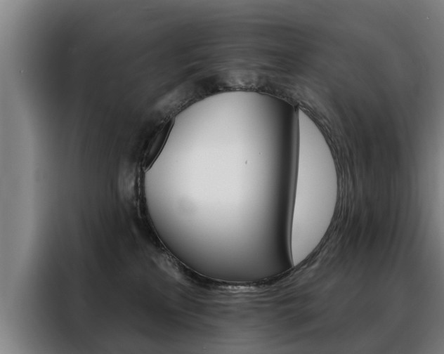 X0000088470233200705220947
