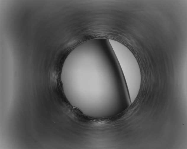 X0000088470235200705220947