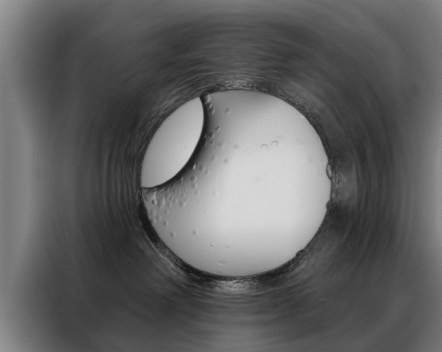 X0000088470238200705220947