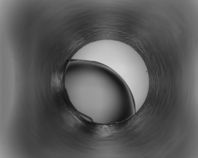 X0000088470239200705220947