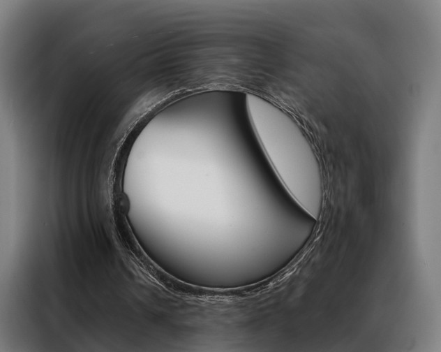 X0000088470242200705220946
