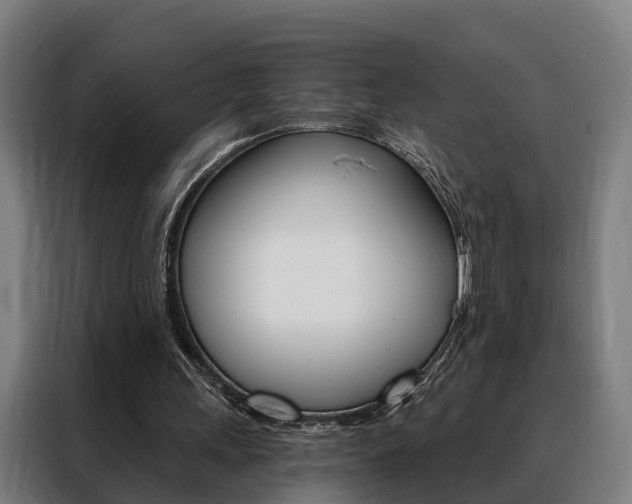 X0000088470243200705220946