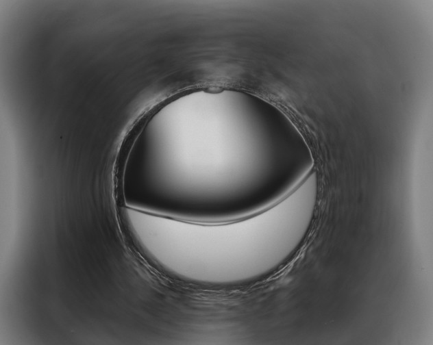 X0000088470244200705220946