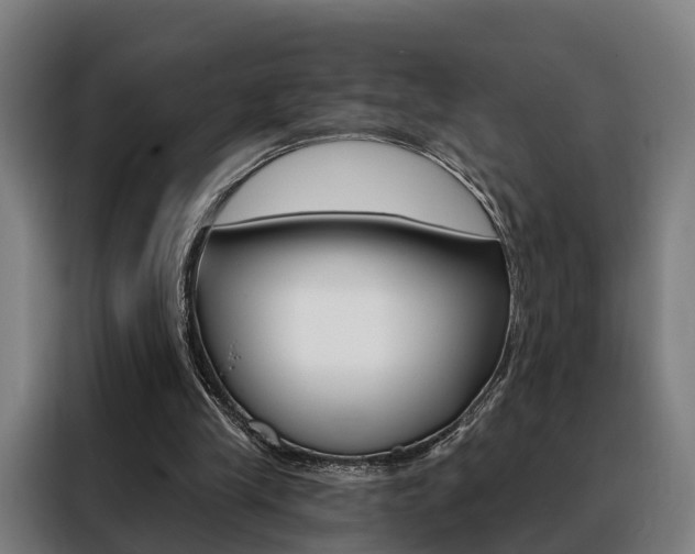 X0000088470245200705220946