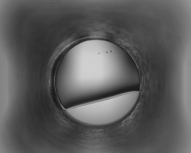 X0000088470247200705220946