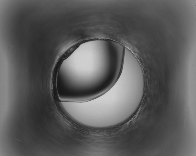 X0000088470248200705220946
