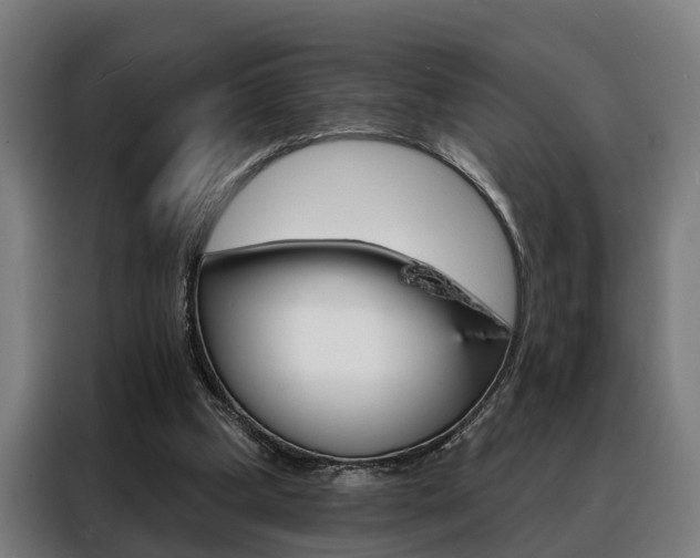 X0000088470249200705220946