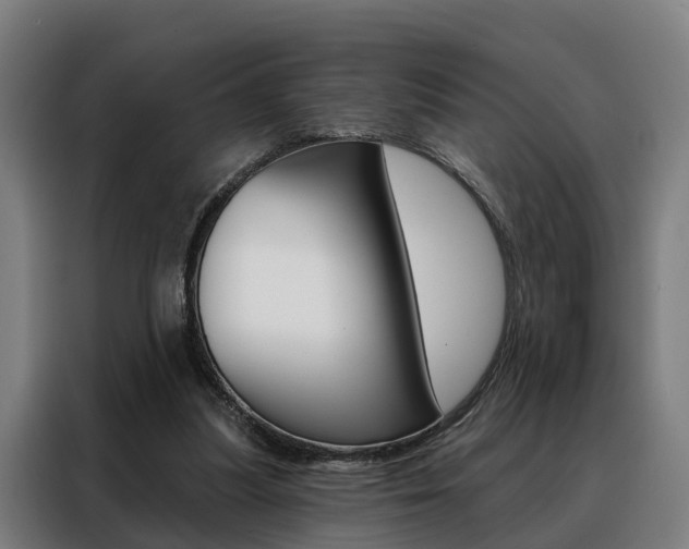 X0000088470251200705220946