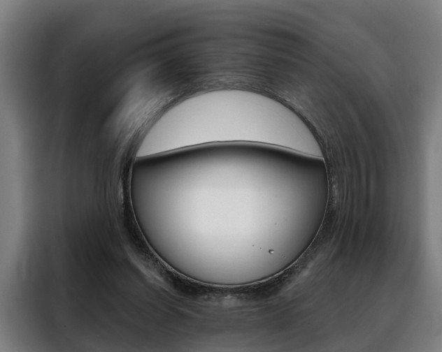 X0000088470254200705220946
