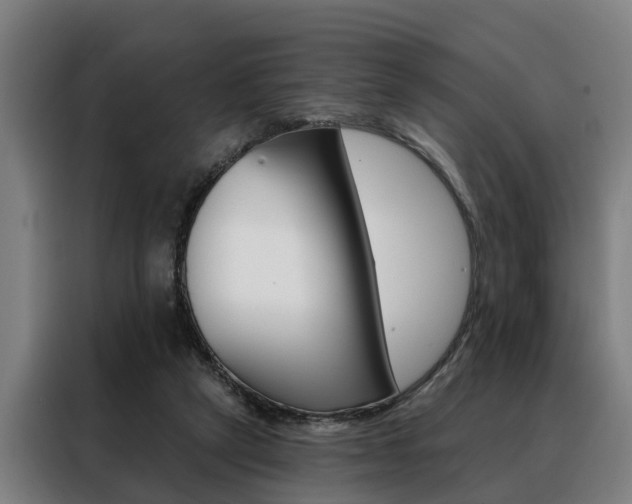 X0000088470257200705220946