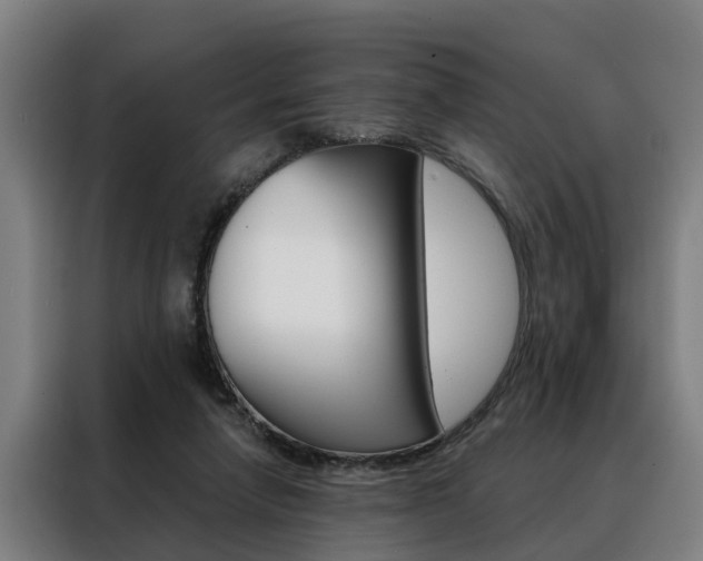 X0000088470258200705220946