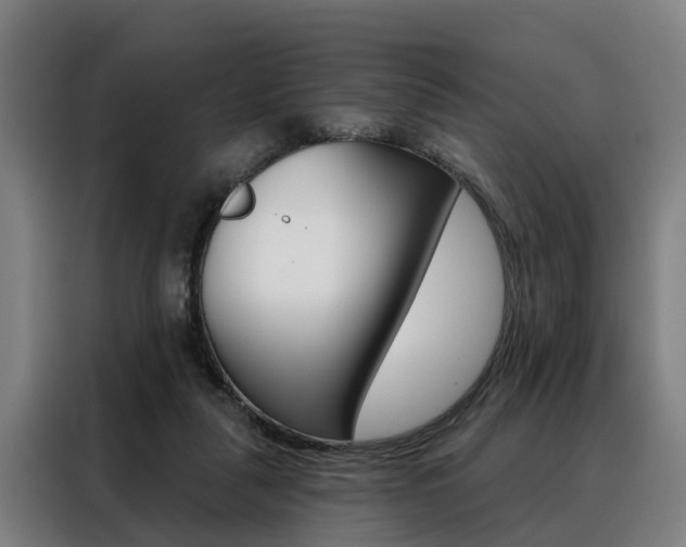 X0000088470259200705220946
