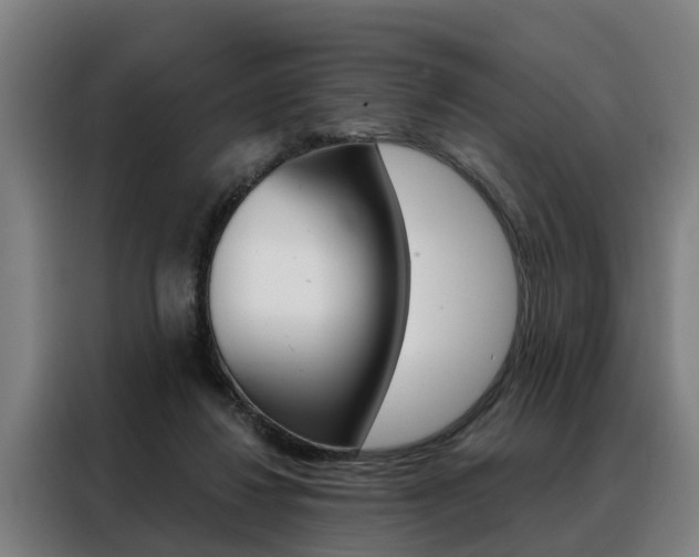 X0000088470260200705220946