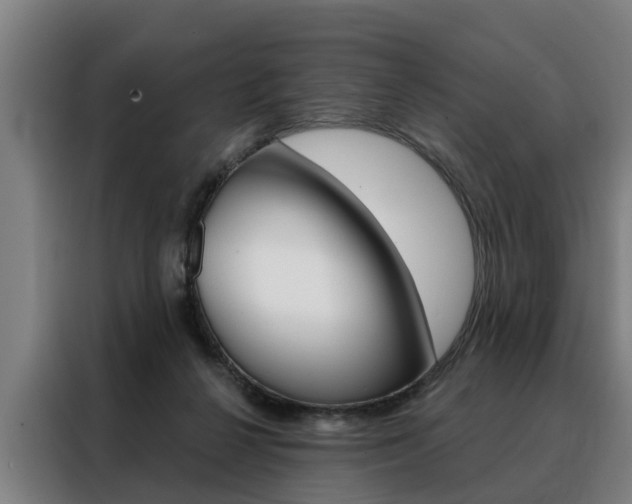 X0000088470264200705220946