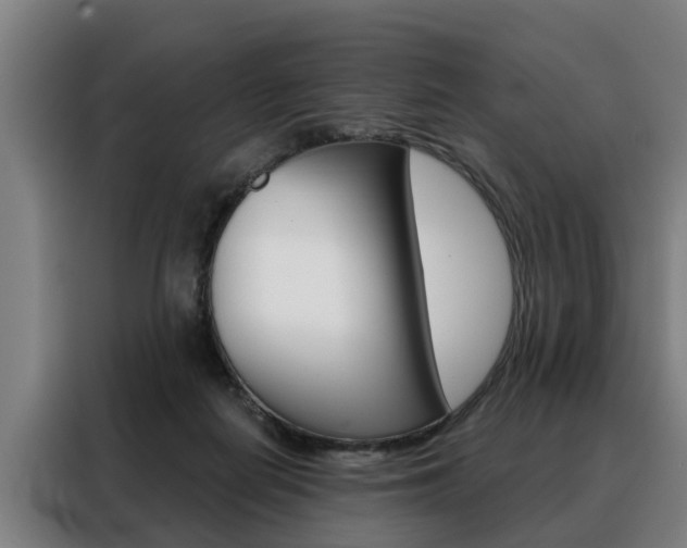 X0000088470266200705220946