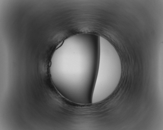 X0000088470268200705220946