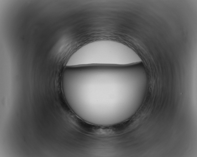 X0000088470270200705220946